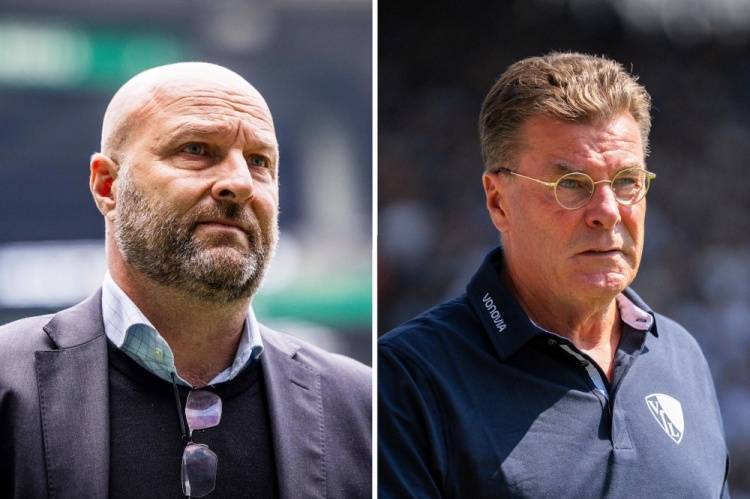 九游体育app-德乙开局1胜4负！官方：波鸿解雇主帅黑金和体育总监迪克-杜夫纳